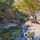 금산축산업협동조합 이미지