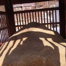 영천 보성리 암각화 이미지