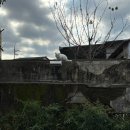 [전주] 올드브릭스 후기/ 한옥독채 곳곳이 다 예쁜 강추 감성숙소