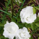 청룡사지길 이미지