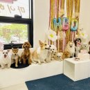 마이하우스퍼피 애견호텔유치원 이미지