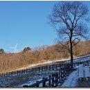 성인목장 이미지