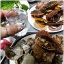 진도횟집해녀소녀식당