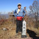 한반도면-2 이미지