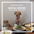 연화마을기업 | 경주 황리단길 대형견 동반 식당 화양연화 / 경주 교촌마을 한정식 애견동반 / 1인 식사 X