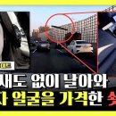 한문철의 블랙박스 리뷰 하이라이트 앞차 밟은 '80cm 쇳덩이' 피할 겨를 없이 얼굴에 맞은 블박차, 이대로 신고 영상 이미지