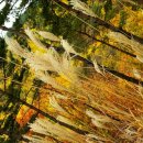 국수의 달인 이미지