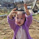 혜온농장 이미지