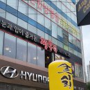블챌22💚일상/광주짬뽕맛집/눈과입이즐거운짬뽕집/엔탑이비인후과/고양이알러지