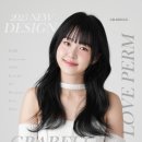 벨르헤어 네이버블로그