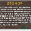 꿩대신닭 이미지