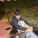 태평천하 | 평택 펜션 추천, 반려견과 함께할 수 있는 프라이빗한 촌캉스 숙소, 태평천하펜션