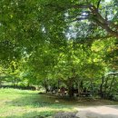 용운민박 이미지