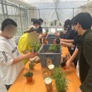 2023 한국생명과학고등학교 중학생진로체험 도시디자인조경과 학과소개 전공관련실습 후기