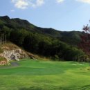 일레븐CC 이미지