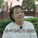 이혜정 스킨