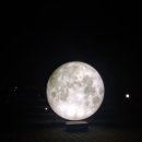 우암동 도시숲 이미지