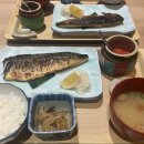 팜프라자 | 2025하카타역 크리스마스시즌 &amp;후르츠가든 신선,칼디커피팜,아뮤플라자,마잉구 내돈내산 쇼핑 솔직 후기