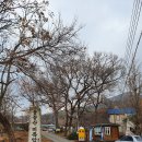 용봉2리마을회관 이미지