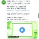 코로나 시대에 돌팬들이 살아남는 법 이미지