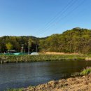 섬진강캠핑장 이미지