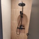 브라운도트 상동점 이미지