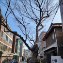 신림초등학교병설유치원 이미지