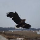 관우오토바이