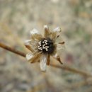 무등중학교 이미지