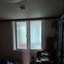 국제백양 이미지