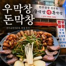 우막창돈막창