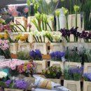 인지공판장 이미지