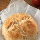 덴탈메이플 이미지