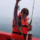 항구낚시 슈퍼 이미지