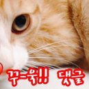 숨어있는집