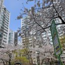 자이신성공인중개사사무소 네이버블로그