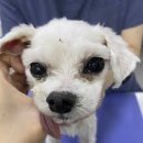 제일동물병원 이미지