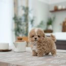 스테이 모량 이미지