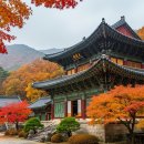 개인택시영주시지부 | 세월품은 680년 전통 사찰, 고요한 가을 힐링 명소 영주 비로사