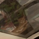 백영기농장 | 여름부터 가을까지 일상 기록