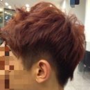 헤어스컬프쳐