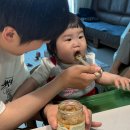 이유식 준비ㅣ후기 이유식 양 · 푸드케어 클레로 10개월 아기 밥태기 극복