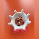 다개한우농장 | [울산/서생] 울산생면파스타맛집 1등 ! 서생 나사리 간절곶 실내애견동반식당 울산오션뷰식당 간절곶...