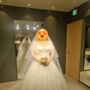 이오비즈 | #17 드레스 _ 브라이브영 : 투어없이 지정 본식가봉 세번째 단아한 풍성 비즈드레스