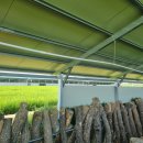 운산 태양광발전소 이미지