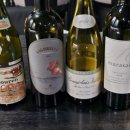 펠리체빈(Felice bean) | San Felice, Vigorello 2016 (산 펠리체, 비고렐로)