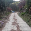 살미면사무소 이미지