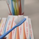 코스트코 칫솔 '오로베 밸런스 칫솔' 역대급 가성비 신상품 내돈내산 후기