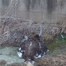 소동농장 이미지