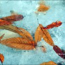 부락산 둘레길 이미지